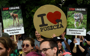 KE chce pozwać Polskę za wycinkę Puszczy Białowieskiej