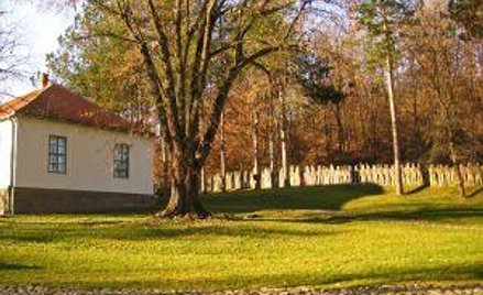 Wyzbycie się majątku z krzywdą dla wierzycieli