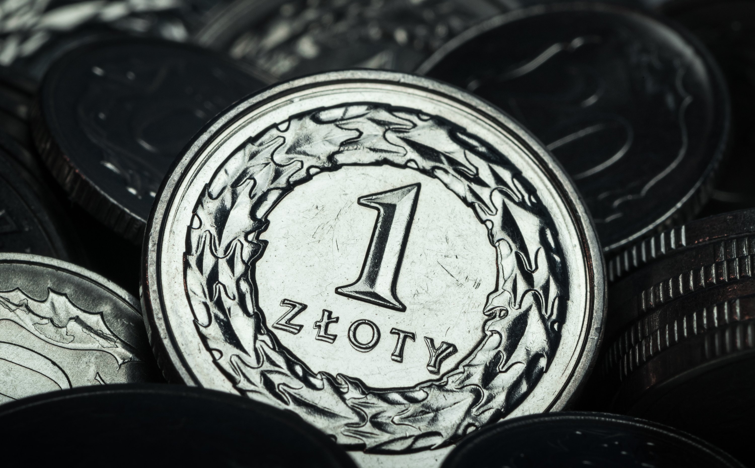 Złoty kończy tydzień z przytupem