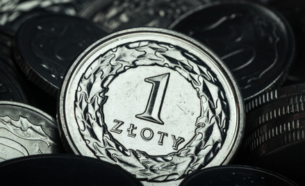 Złoty kończy tydzień z przytupem