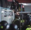 Kadr z filmu jaki opublikowała Legia Warszawa. Film przedstawia, co działo się w Alkmaar