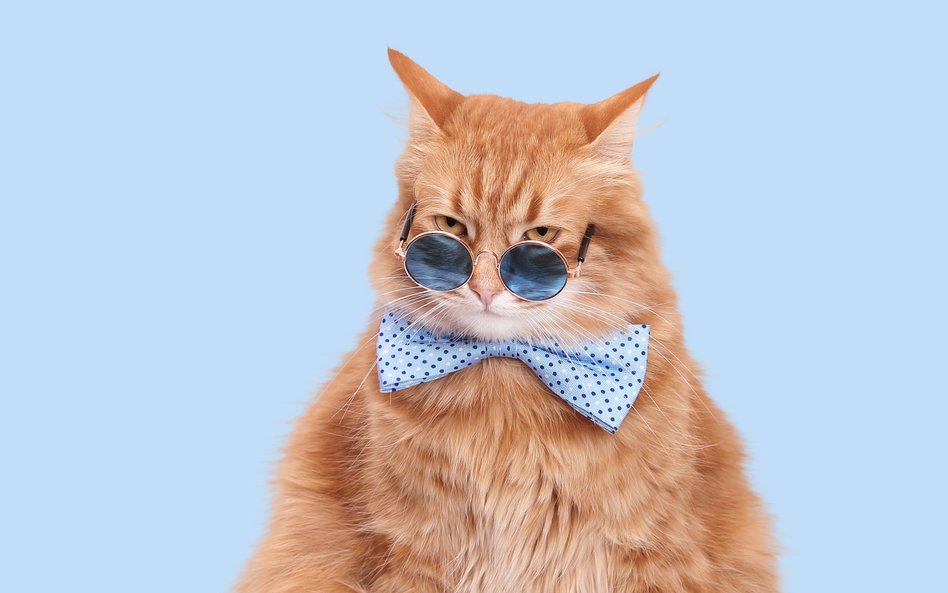 Zwierzę może być kosztem podatkowym. Ale nie zawsze