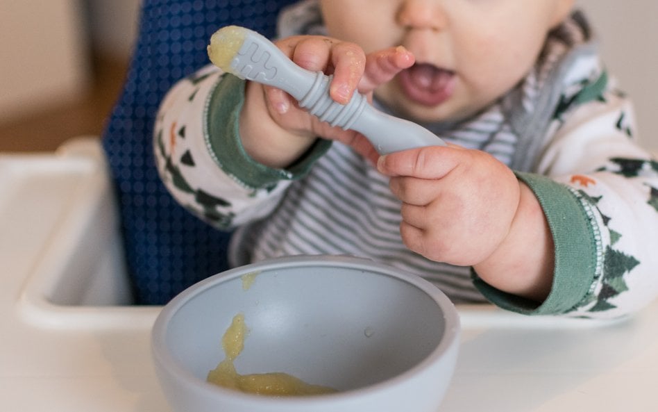 Niepokojące sygnały o polskiej żywności. Metal, salmonella i bakterie w produktach