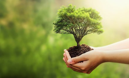 Czekamy na nowy rząd. Skutki strat w przyrodzie i zmiany klimatu nie czekają