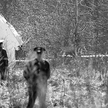 Szczątki prezydenckiego tupolewa pod Smoleńskiem (10 kwietnia 2010)