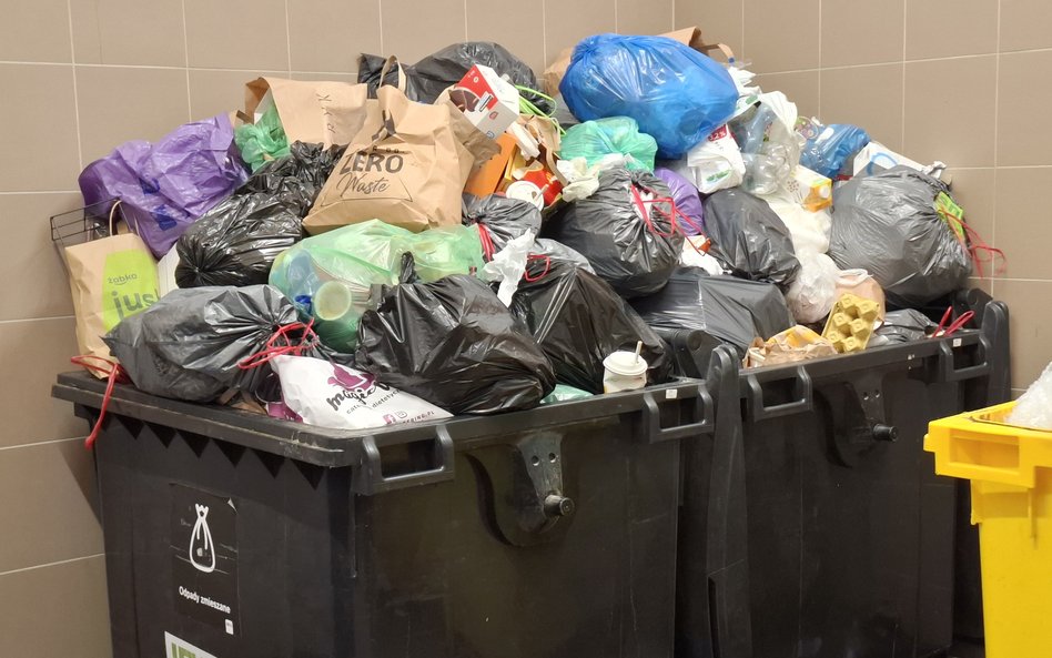 W strukturze odpadów dominują te zmieszane, stanowiąc 574 tys. ton – o 5,4 proc. więcej niż w poprze