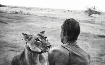 Tony Fitzjohn z Jipe - lwem, który po tym jak został osierocony, był przez niego wychowywany, a nast