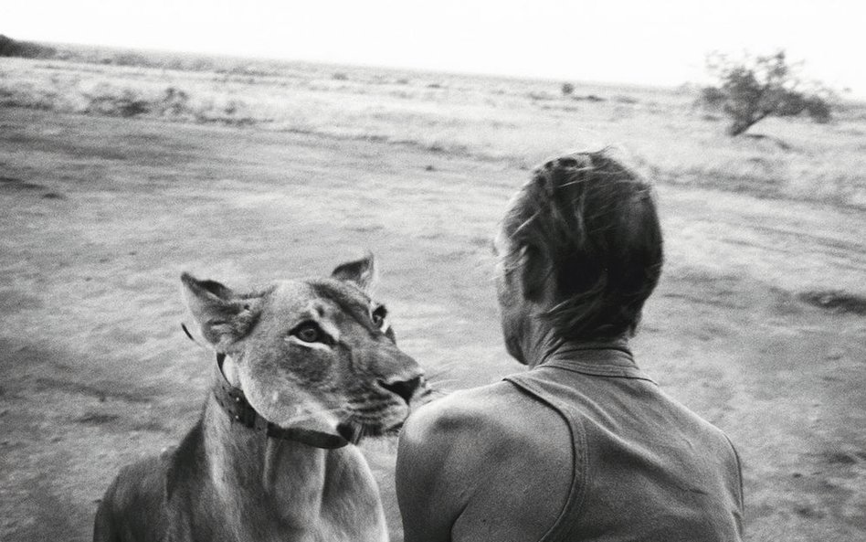 Tony Fitzjohn z Jipe - lwem, który po tym jak został osierocony, był przez niego wychowywany, a nast