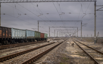 Ukraińska kolej wjeżdża do Unii, nowy operator zarejestrowany w Polsce