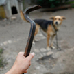 Koniec z pieskim życiem - rozmowa z Zofią Pawelską, autorką inicjatywy Lab Rescue