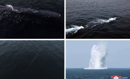 Test drona