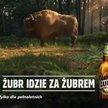 Ulubione reklamy Polaków w październiku