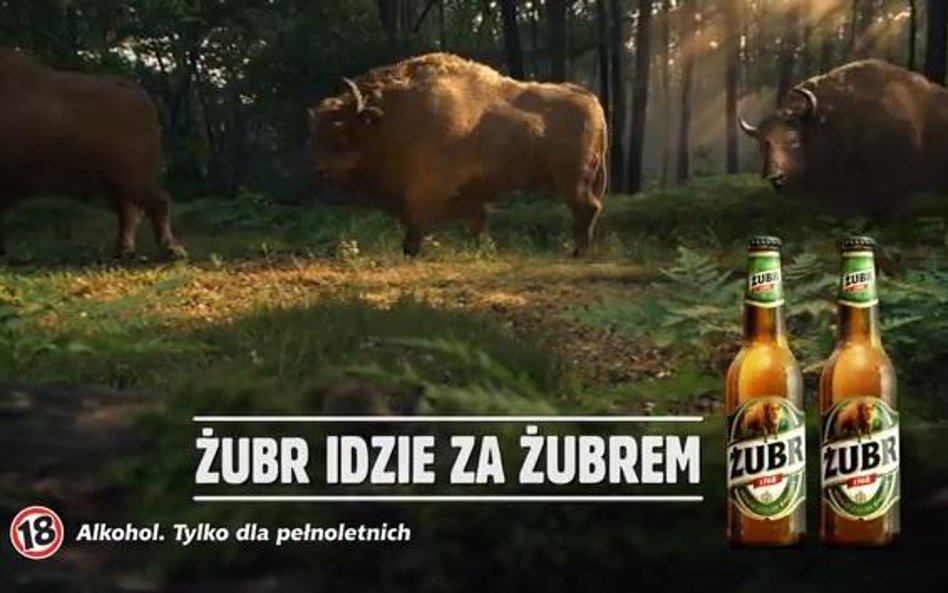 Ulubione reklamy Polaków w październiku