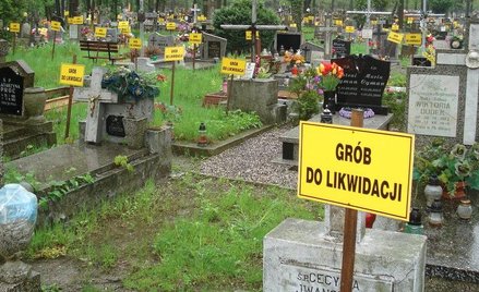 Cmentarz komunalny w Legnicy przy ulicy Wrocławskiej