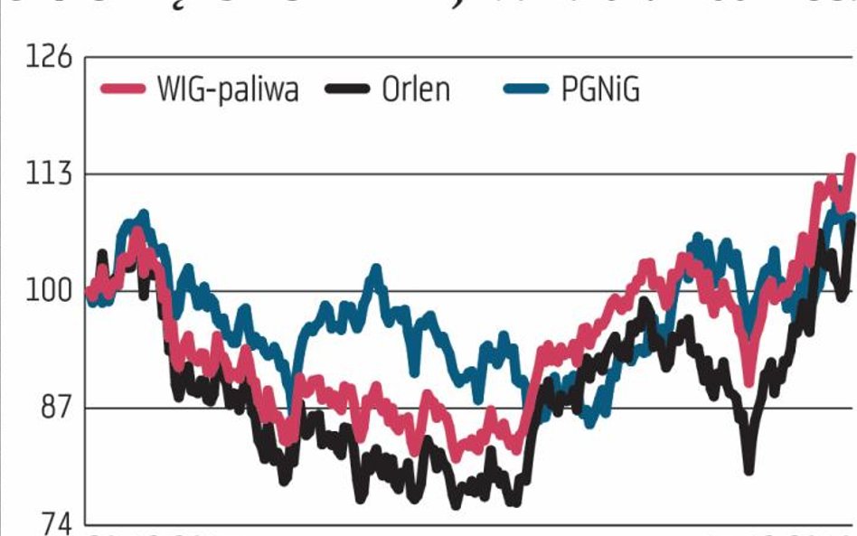 Jedynym na plusie w tym roku indeksem branżowym jest WIG-paliwa, który zyskał blisko 14 proc., co je