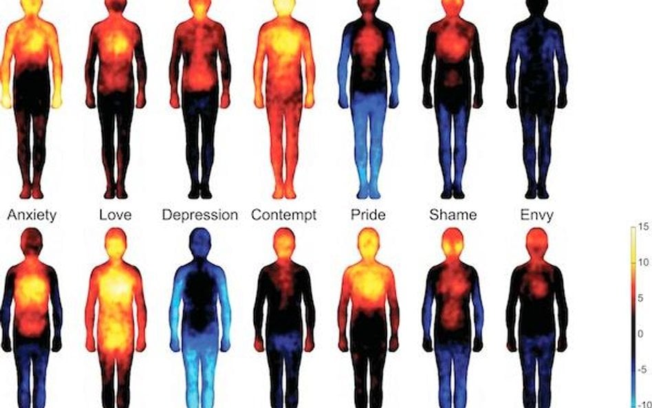 Ten nietypowy atlas ciała pokazuje w jaki sposób fizycznie odczuwamy emocje.