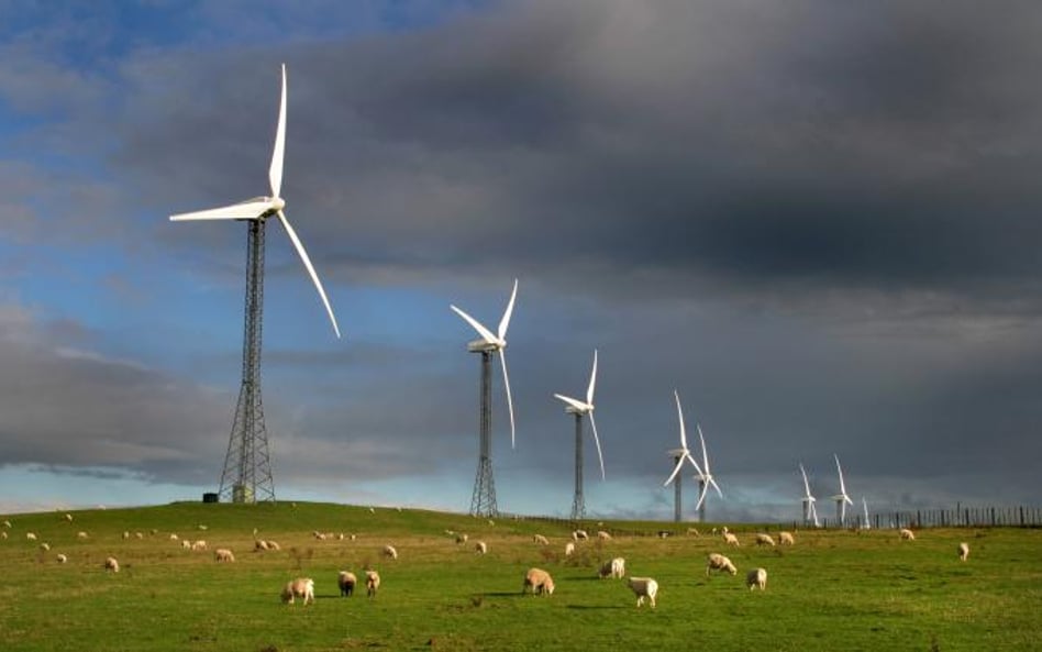 Rośnie udział zielonej energii w Niemczech