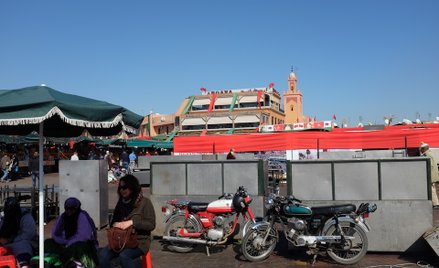 Król i jego poddani z Targu Przypraw - reportaż z Marrakeszu