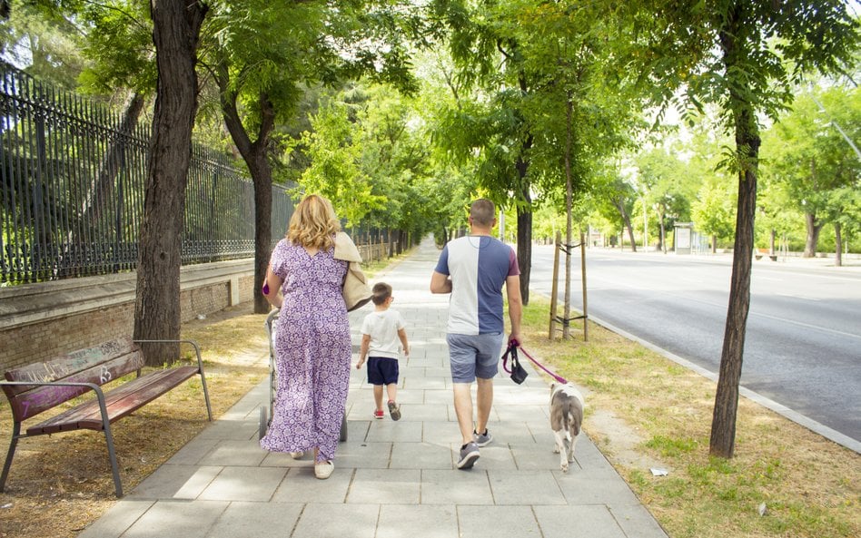 Po 2016 r. dzietność nieco drgnęła, ale dziś, mimo że świadczenie wynosi już 800 zł, spadła do pozio