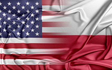 Fiskus: firma w USA to nie zakład, zapłaci podatek w Polsce