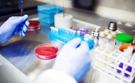 Pure Biologics liderem wzrostów na giełdzie. Kurs zawisł na widełkach