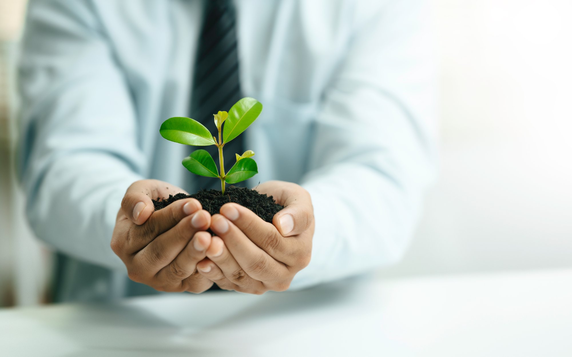 Greenlash: dlaczego Unia spowolniła