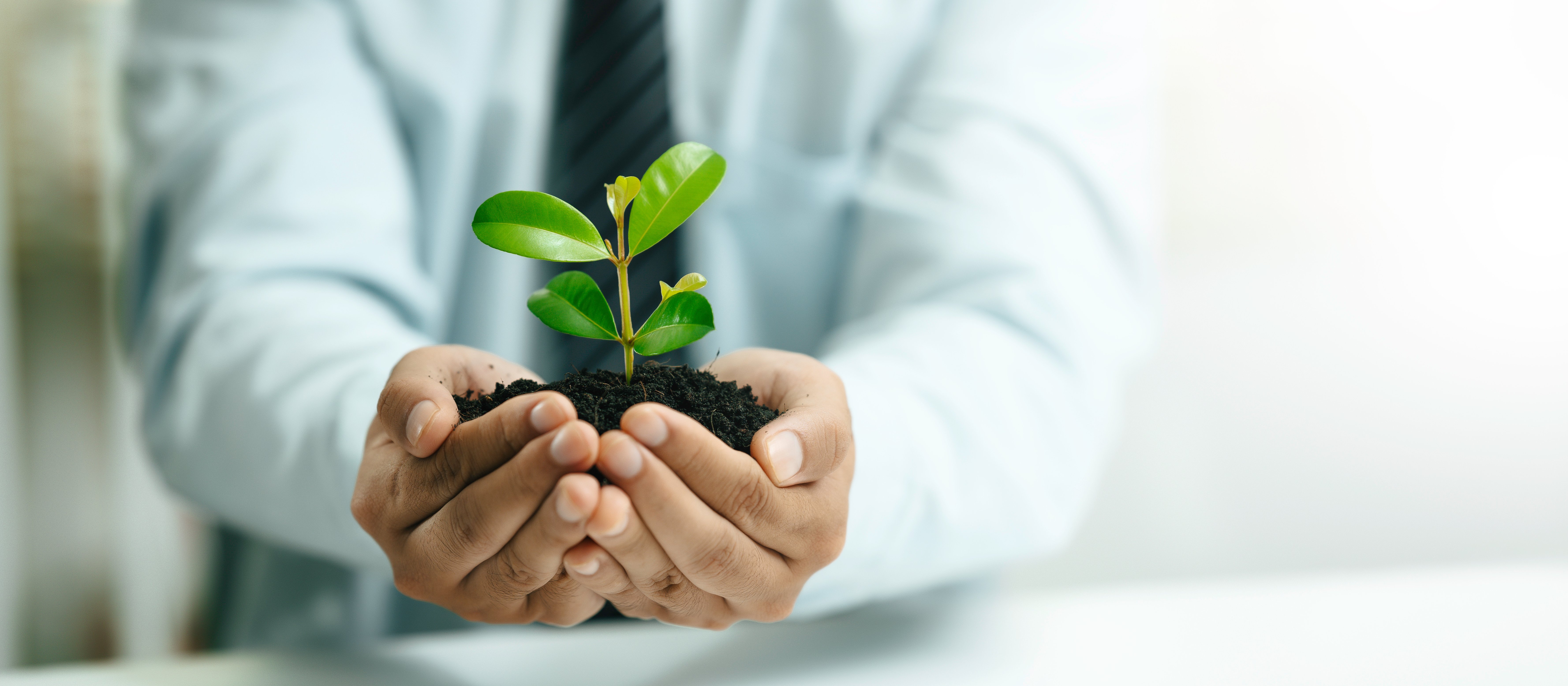 Od gospodarki nadmiaru do gospodarki umiaru