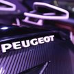 Rodzina Peugeotów gotowa na więcej PSA