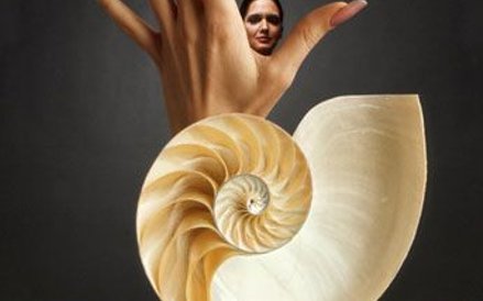 Ryszard Horowitz, Pearly Hand, 1971