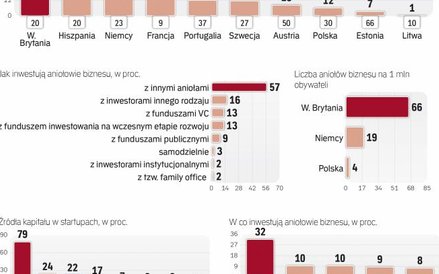Rynek aniołów biznesu w Polsce dopiero raczkuje