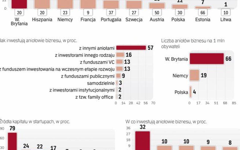 Rynek aniołów biznesu w Polsce dopiero raczkuje