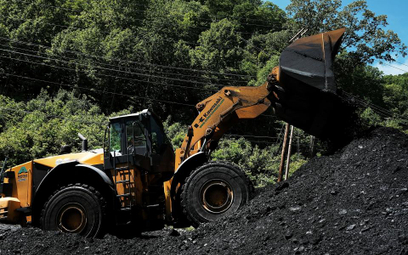 Górnictwo: Mariaże polskich firm sposobem na ekspansję