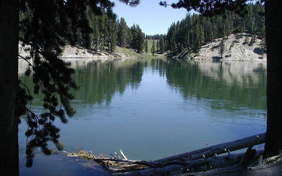 Rzeka Yellowstone (fot. GFvonB)