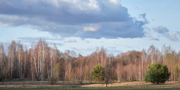 Wyż zacznie wypierać chłód. Pogoda w Polsce stopniowo się uspokoi