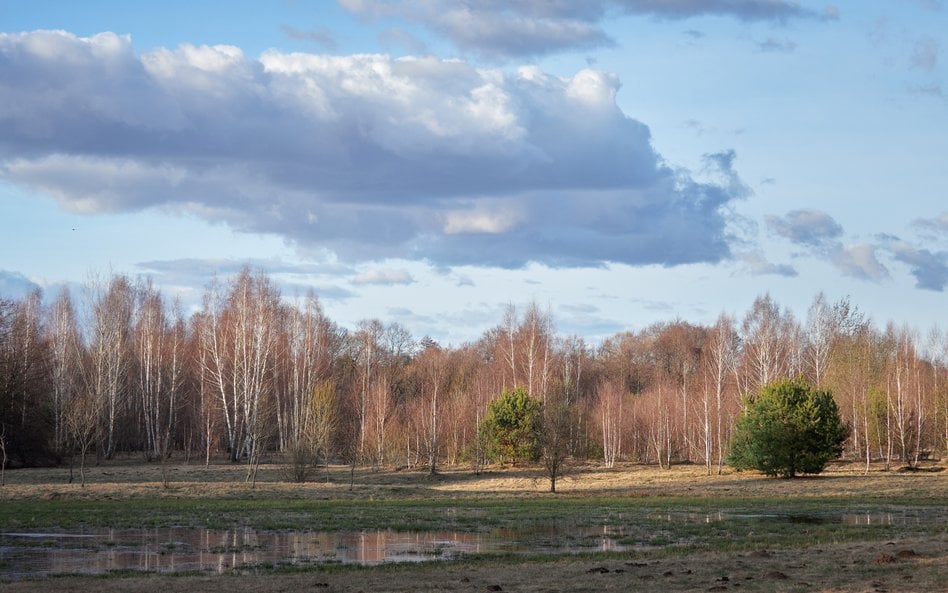 Obecna sytuacja pogodowa w Polsce wynika ze ścierania się dwóch dużych układów barycznych