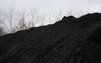 Górnicy blokują terminal węglowy