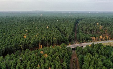 Widok z lotu ptaka na lokalizację przyszłej gigafabryki Tesli w Grünheide w Brandenburgii