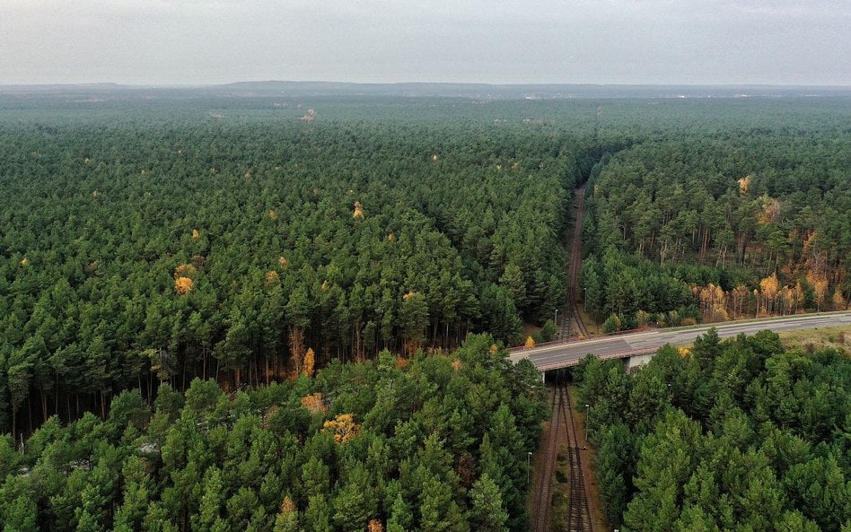 Widok z lotu ptaka na lokalizację przyszłej gigafabryki Tesli w Grünheide w Brandenburgii