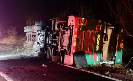 Wielka Brytania: Wypadek ciężarówki. Zginęło 200 owiec