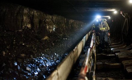 Górnictwo może mieć w tym roku straty
