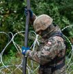 Polscy żołnierze stawiają zasieki na granicy z Białorusią