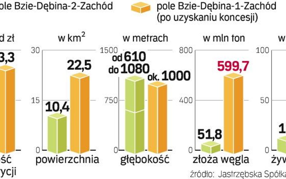 Ostatnią kopalnią, która powstała w kraju, był otwarty w 1994 r. Budryk. Rozbudowa Zofiówki przypomi
