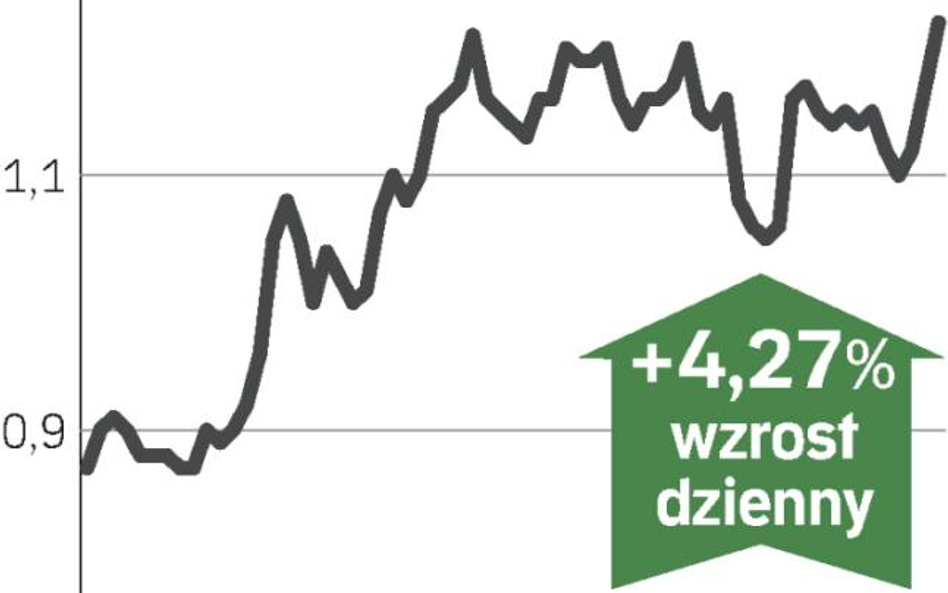 Inwestorzy docenili szczegóły