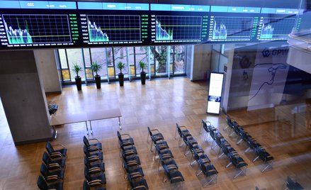 Zagranica wciąż rządzi, ale rynkowy tort jest też coraz większy