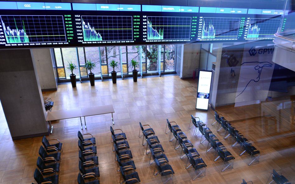 Zagranica wciąż rządzi, ale rynkowy tort jest też coraz większy