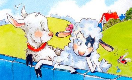 Recenzja książki - Po rozum do głowy