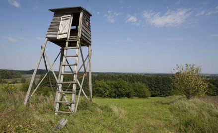 Podczas polowania na terenie kompleksu leśnego w Sieńcu niedaleko Wielunia postrzelona została 46-le