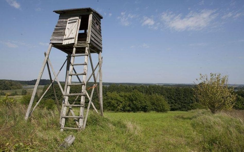 Podczas polowania na terenie kompleksu leśnego w Sieńcu niedaleko Wielunia postrzelona została 46-le