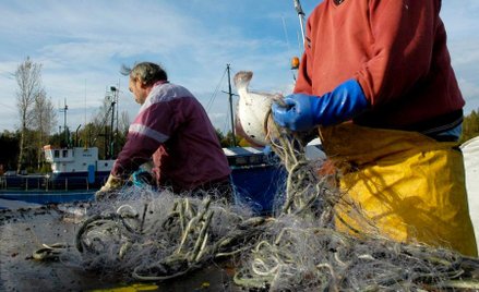 Rybacy łowią stare sieci