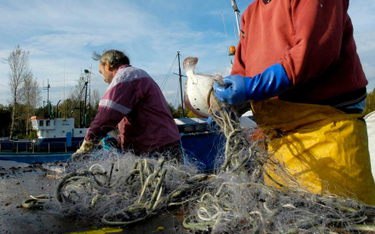 Rybacy łowią stare sieci